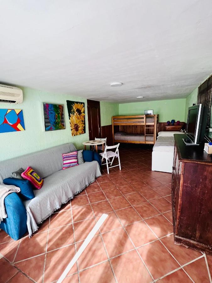 Serafin, Pet Friendly *